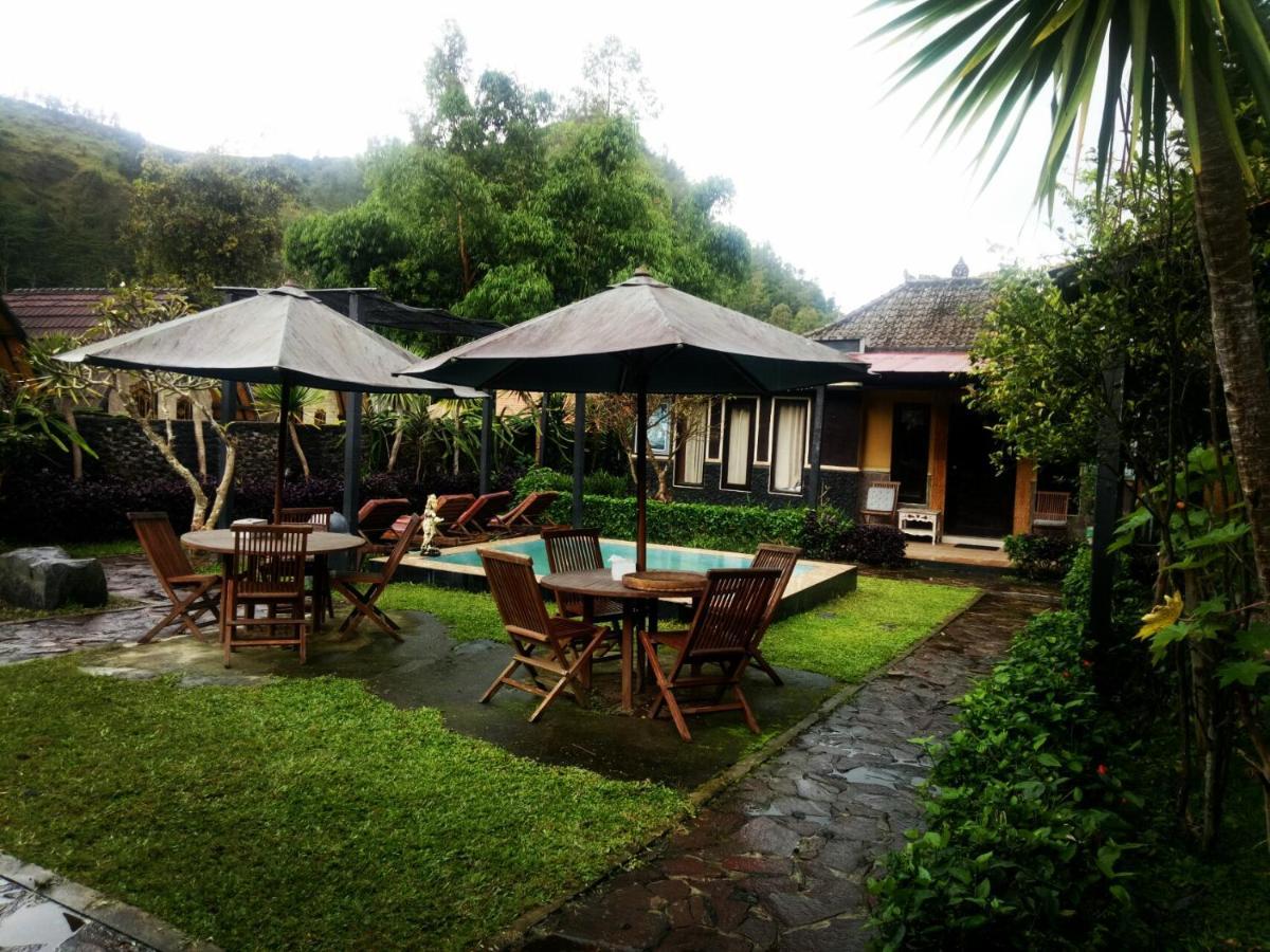 Bunbulan Hill Hostel And Cottage Kintamani Exterior foto